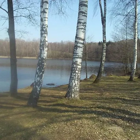 Eagle Camping *