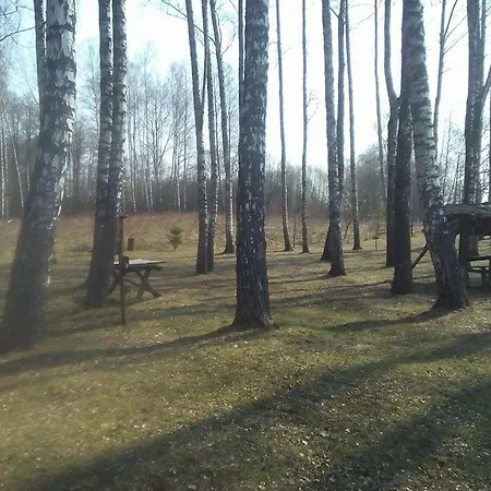 Eagle Camping
